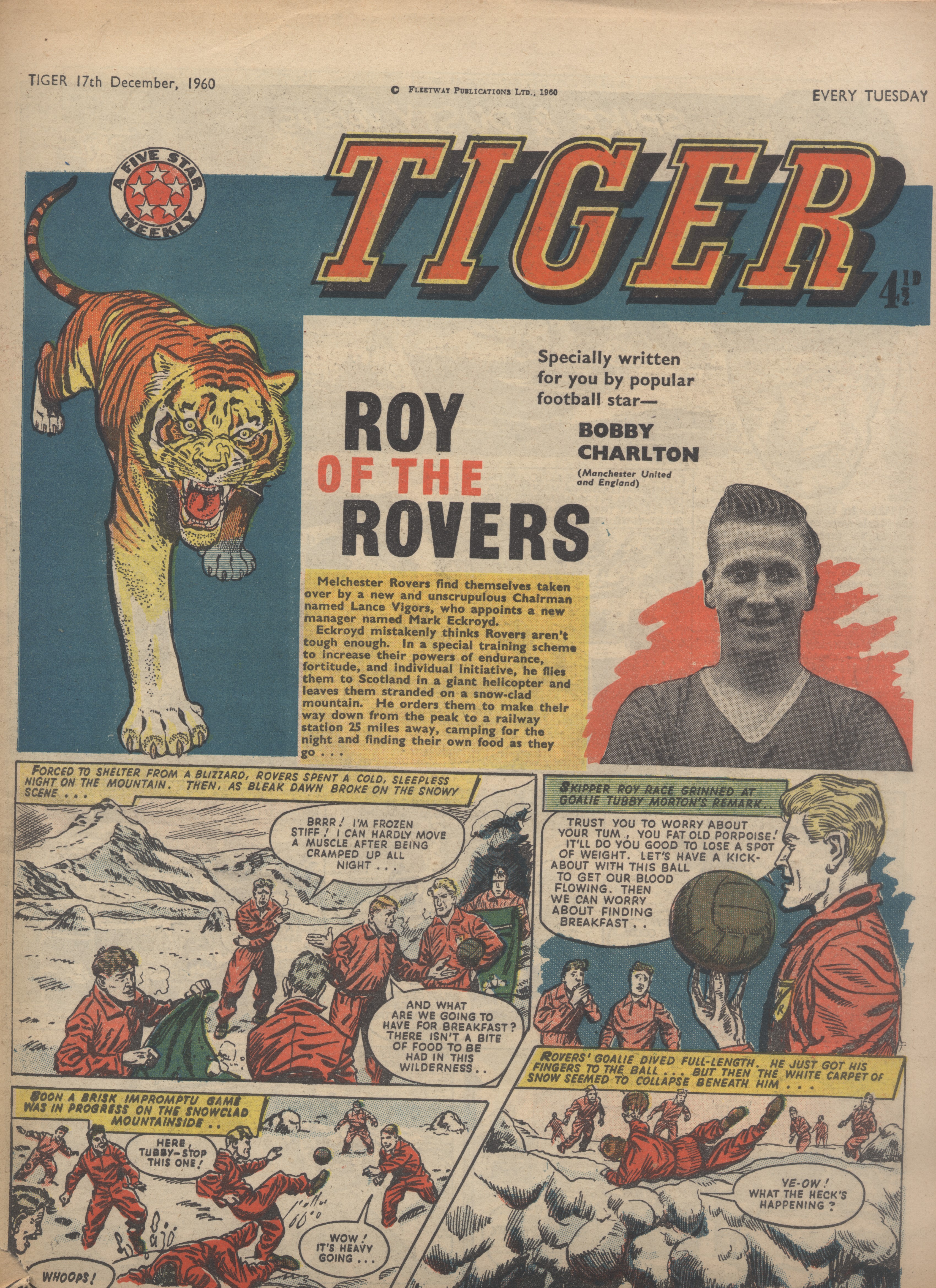 Tiger